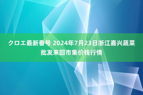 クロエ最新番号 2024年7月23日浙江嘉兴蔬菜批发来回市集价钱行情