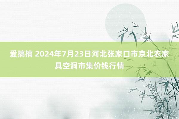 爱搞搞 2024年7月23日河北张家口市京北农家具空洞市集价钱行情