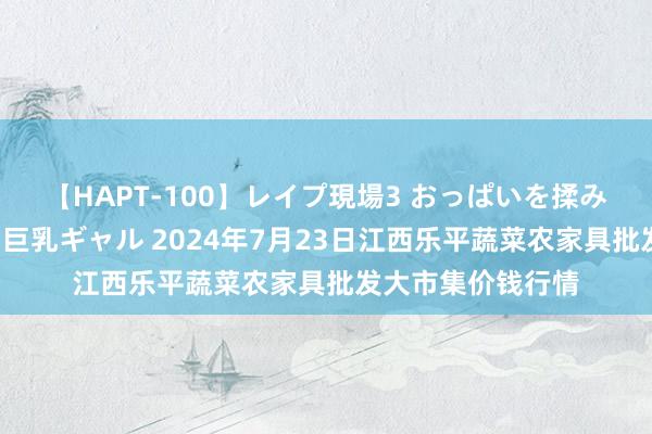 【HAPT-100】レイプ現場3 おっぱいを揉みしだかれた6人の巨乳ギャル 2024年7月23日江西乐平蔬菜农家具批发大市集价钱行情