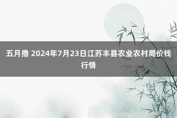 五月撸 2024年7月23日江苏丰县农业农村局价钱行情