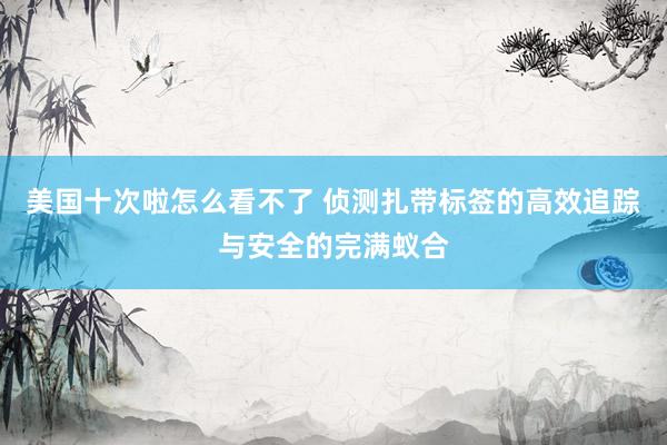 美国十次啦怎么看不了 侦测扎带标签的高效追踪与安全的完满蚁合