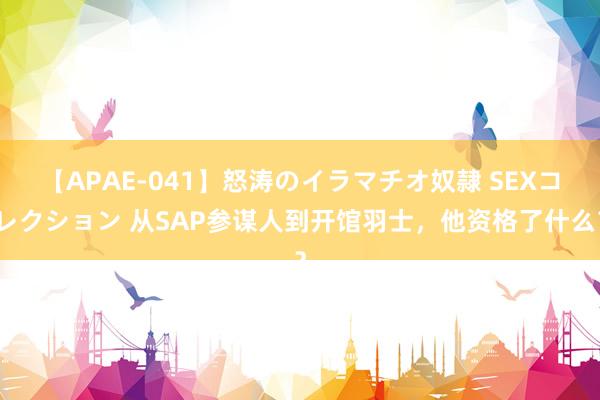 【APAE-041】怒涛のイラマチオ奴隷 SEXコレクション 从SAP参谋人到开馆羽士，他资格了什么？