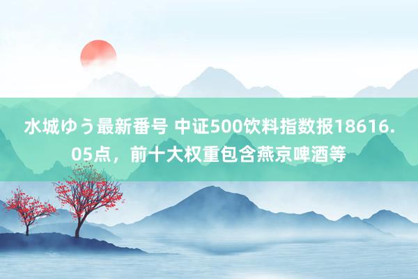 水城ゆう最新番号 中证500饮料指数报18616.05点，前十大权重包含燕京啤酒等