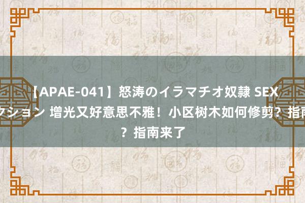 【APAE-041】怒涛のイラマチオ奴隷 SEXコレクション 增光又好意思不雅！小区树木如何修剪？指南来了