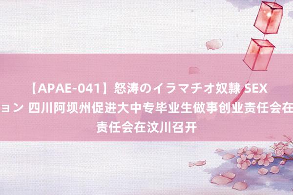 【APAE-041】怒涛のイラマチオ奴隷 SEXコレクション 四川阿坝州促进大中专毕业生做事创业责任会在汶川召开