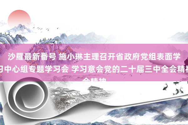 沙羅最新番号 施小琳主理召开省政府党组表面学习中心组专题学习会 学习意会党的二十届三中全会精神