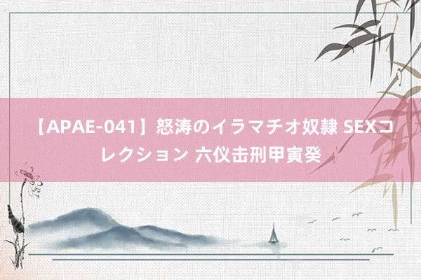 【APAE-041】怒涛のイラマチオ奴隷 SEXコレクション 六仪击刑甲寅癸