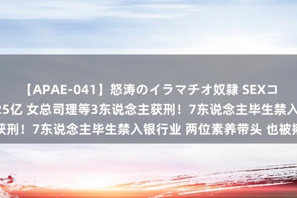 【APAE-041】怒涛のイラマチオ奴隷 SEXコレクション 犯法放贷4.25亿 女总司理等3东说念主获刑！7东说念主毕生禁入银行业 两位素养带头 也被揪出