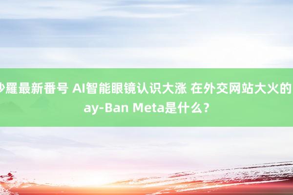 沙羅最新番号 AI智能眼镜认识大涨 在外交网站大火的Ray-Ban Meta是什么？