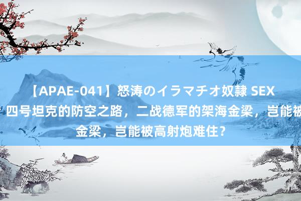 【APAE-041】怒涛のイラマチオ奴隷 SEXコレクション 四号坦克的防空之路，二战德军的架海金梁，岂能被高射炮难住？