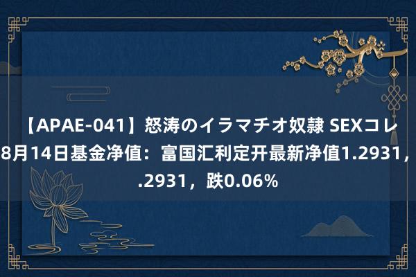 【APAE-041】怒涛のイラマチオ奴隷 SEXコレクション 8月14日基金净值：富国汇利定开最新净值1.2931，跌0.06%