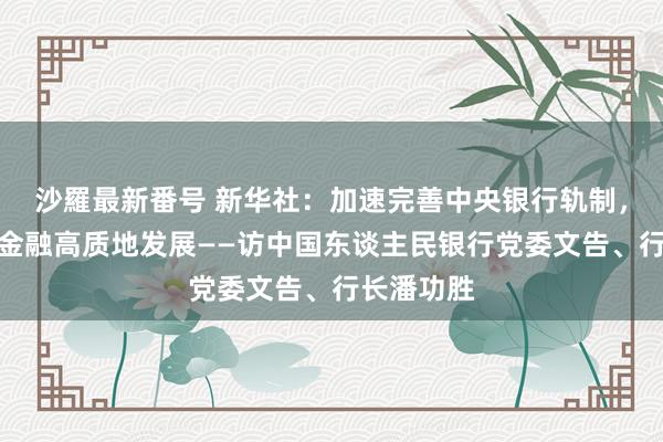 沙羅最新番号 新华社：加速完善中央银行轨制，握续鼓吹金融高质地发展——访中国东谈主民银行党委文告、行长潘功胜