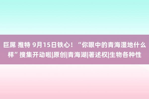 巨屌 推特 9月15日铁心！“你眼中的青海湿地什么样”搜集开动啦|原创|青海湖|著述权|生物各种性